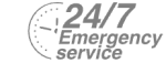 24/7 Emergency Service Pest Control in West Kensington, W14. Call Now! 020 8166 9746