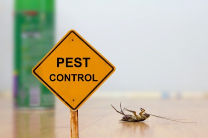 Pest Contol in West Kensington, W14. Call Now 020 8166 9746