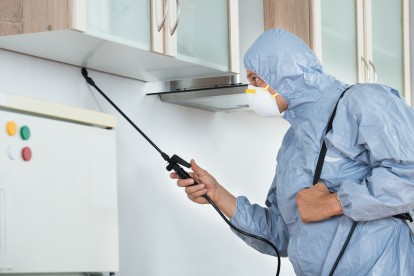Home Pest Control, Pest Control in West Kensington, W14. Call Now 020 8166 9746